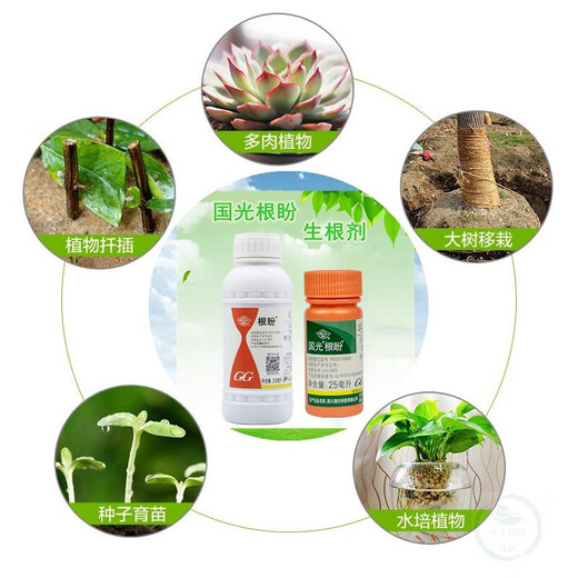 Guoguang Genpan 5% Indole Naphthalene Acetic Acid Naphthalene Acetic Acid Rooting and Seedling Strengthening Agent Transplanting Rooting Agent Nutrient Solution Growth Regulator 200ml