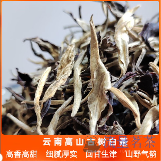 Qiu Boyuan Mid-Autumn Ceremony 2024 Yunnan Ancient Tree White Tea Alpine Yangta Moonlight Beauty White Peony Spring Tea Bag Loose Tea 500g