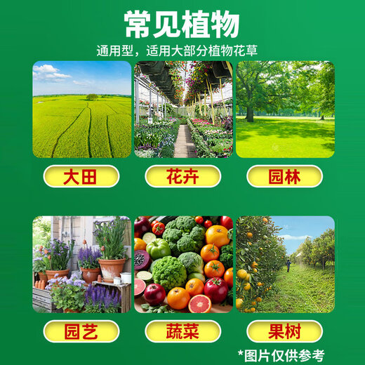 Phytosol 40 % Difenoconazol Azol Wassermelone Maismilzbrand Schwarzbrauner Fleck Rost Weißes pulverförmiges Blattpestizid Fungizid