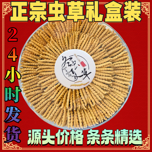 正宗冬虫夏草礼盒装虫草10克装50条正品甘孜藏族干货虫草礼盒装 正宗4条一克小虫草 正宗虫草20克装