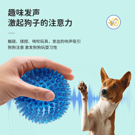 EETOYS small thorn ball blue dog toy fun sounding teeth grinding and bite-resistant tooth cleaning ball to relieve boredom alone pet supplies