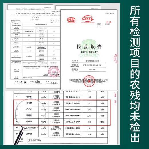天池茶业1392凤凰单枞宋种 特级名丛 潮州单枞茶 高山有机乌龙茶叶 宋种 100g*1罐