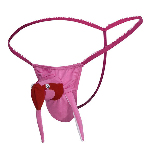 Confidential delivery men's sexy underwear thong cosplay sexy underwear bird head T-pants purple one size