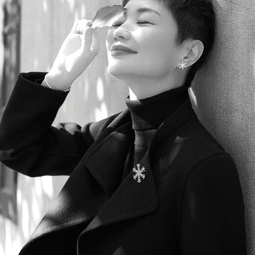 HEFANG He Fang Jewelry Snowflake Brooch Silver Simple Corsage Women's Light Luxurious and High-end Birthday Gift for Girlfriend Black