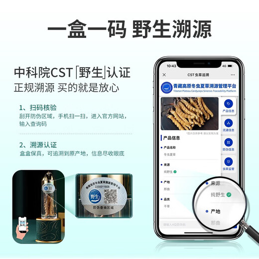 Guokuntang [Wild Tracable] Cordyceps Sinensis Высокоэтажная тибетская тибета Nagqu Выбранная подарочная коробка дикого Cordyceps 20G Подарочная коробка национального стиля Упаковка средней большой травы 4 корни/грамм