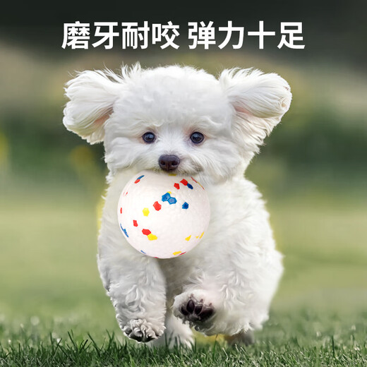 HELLOJOY dog toy bouncy ball solid bite-resistant dog training artifact large, medium and small teddy unbreakable puppy toy 6.5cm