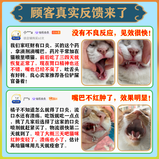 Cat stomatitis special medicine i medicine cat stomatitis spray 2801 A cat's rotten mouth, drooling, red, swollen and inflamed gums, oral ulcers, special anti-inflammatory and analgesic spray for removing bad breath, buy 3 and get 2 free, for ulcers, drooling and bleeding, five boxes + antibiotics