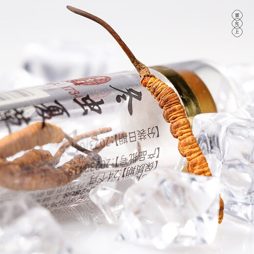 
Lei Yunshang [Official] Cordyceps gift box selection freeze-dried Cordyceps health gift supplement gift gift [Try it for your own use] 5 Cordyceps/g 1g about 5