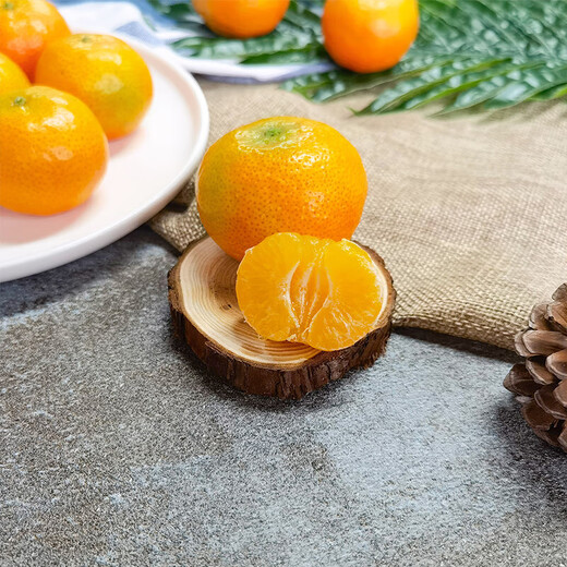 Golden Autumn Tangerine 450g directly harvested from the place of production