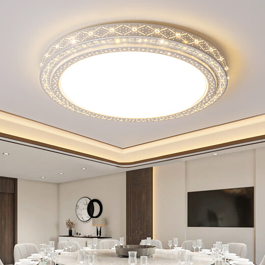 佲伙2024新款吸顶灯led大尺寸客厅灯简约现代卧室灯圆形超亮大厅灯具 直径60CM高亮白光48瓦