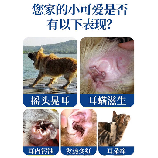 Special medicine for cat ear mites, pet earfuling ear anti-inflammatory ear drops, cleaning, removing mites, relieving itching, antibacterial cleaning liquid, single box, 10 ml bottle