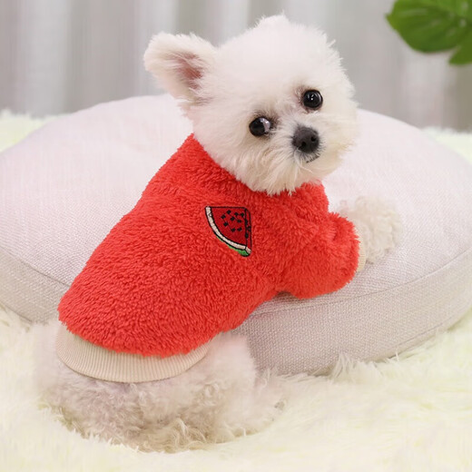 Rabbit spring and summer thin dog and cat clothes for small and medium-sized dogs anti-shedding thick pet clothes big red watermelon (autumn and winter) S