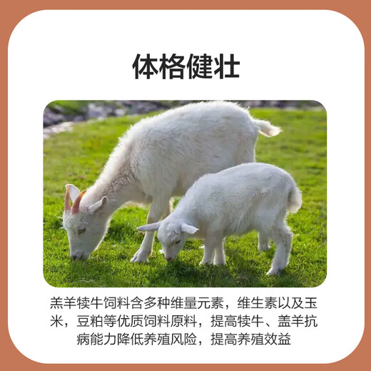 Zhengda Huadong Zhengda calf and lamb open feed has good palatability, large feed intake, large skeleton and no diarrhea pellet feed