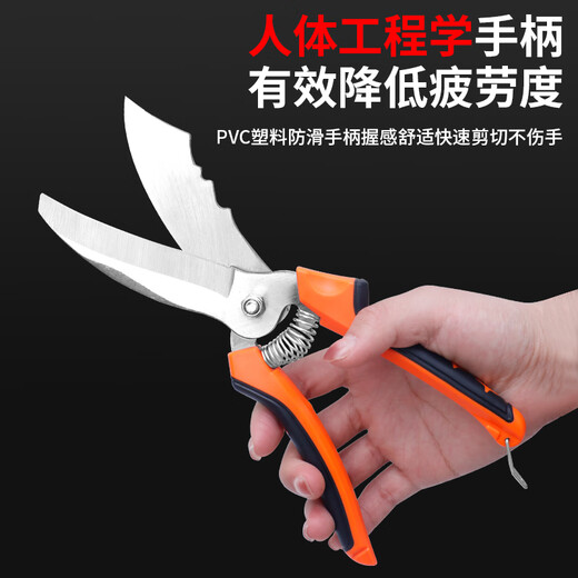 Dedong special garlic scissors for cutting garlic, garlic scissors, garlic scissors, cutting garlic roots, trimming garlic stems, onion segments, onion scissors, special knife for household use, straight-blade garlic scissors