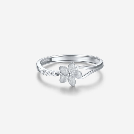 Saturday Fortune PT950 Fashionable Platinum Ring Women's Love Birthday Gift PT013140 No. 12 About 2.92g