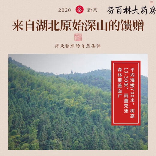 [Vendu directement dans la pharmacie] Unionhe Jingpin Qingqianliu TEA non-wild Tend Sprout Leaf Thé Pression de précipitation faible en graisses à faible teneur en graisses Hypertension artérielle peut être utilisée pour le rasage de maïs en bardle