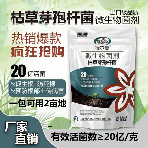 Guanlong Agricultural Chemical Bacillus subtilis compound microbial agent to prevent and control bacterial wilt, root rot, ginger plague and root rot 1000g*1 bag