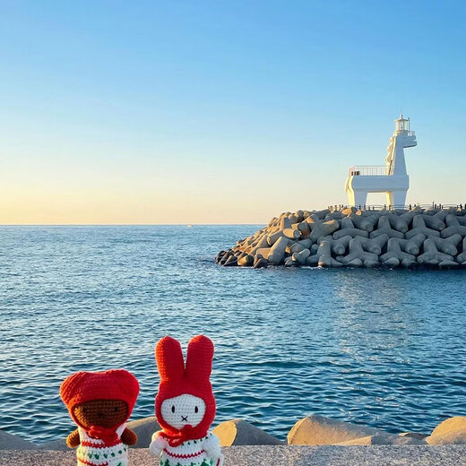 South Korea Travel | Ningbo, Hangzhou, Shanghai, Beijing, Fuzhou, Jiangxi Departure including round-trip air tickets | 4 days and 3 nights in Jeju Island, South Korea, quality group tour for family, parent-child and couple | Single package 4 days and 3 nights single package from Beijing