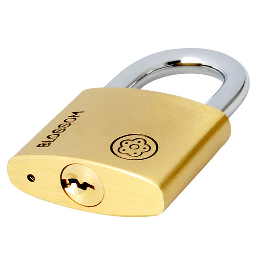 Plum blossom (BLOSSOM) copper padlock, waterproof and rust-proof office dormitory copper lock, outdoor warehouse door and carriage door lock BC9050