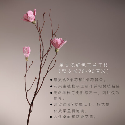 Aesthetic Hacker Handmade Birch Trunks Mountain Twisted Magnolia Branches Bouquet Living Room Decoration Dried Flowers Real Flowers Flower Arrangement Home Indoor Three Magnolia Flowers in Red are More Affordable