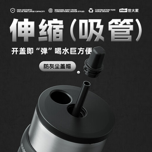 World Heater Cup Men's Water Cup Women's Large Capacity Straw Cup High-end Business Straw Cup 316 Stainless Steel Car Cup