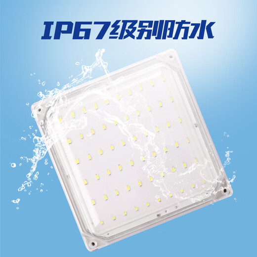Aroden LED special lamp for cold storage, waterproof and moisture-proof lamp, explosion-proof and three-proof lamp, bathroom lamp, special lamp for cold storage and ice storage, square cold storage lamp 35/W