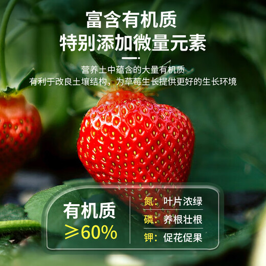 Manlife strawberry soil 15L special nutritional soil flower soil vegetable soil green plant fruit and vegetable organic planting soil balcony potting soil