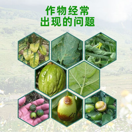 Plant growth balance liquid 0.3 amino acid water-soluble fertilizer fruit leaf surface fertilizer flowers and vegetables general compound fertilizer plant growth balance liquid 200ml*1 bottle