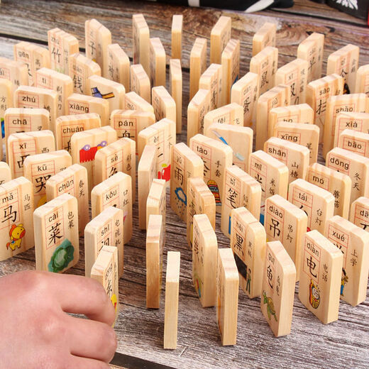 凯蒂奥儿童原木大颗粒积木拼装3-4-6宝宝婴儿1-2岁男孩女孩木质玩具 16粒多米诺积木(图案随机)原木实