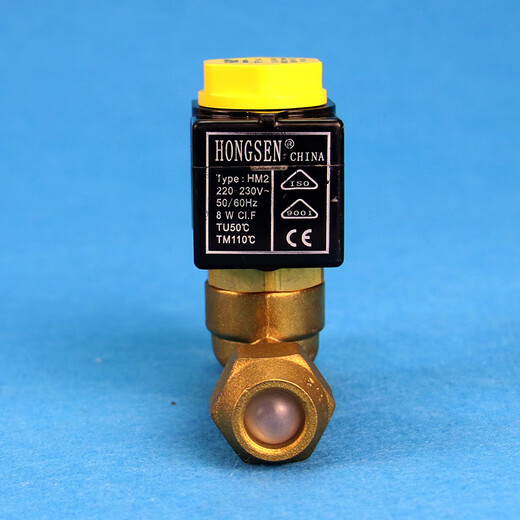 何健弓阙磐洛电磁阀HONGSEN卡式电磁阀10系列冷库二通电磁阀冷库制冷配 1098/7(22MM焊口220V)