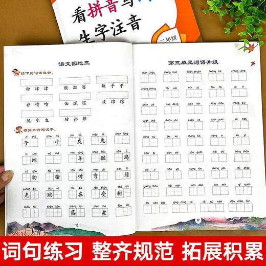 Look at Pinyin and write words and phonetic notation for second grade, Volume 1 and Volume 2, People's Education Edition Chinese Pinyin word special training textbook, synchronized exercise book, new word combinations, primary school textbook, dictation expert Tian Look at Pinyin and write words and phonetic notation for second grade, Volume 1 and Volume 2, People's Education Edition Chinese Pinyin word special training textbook, synchronized exercise book, new word combinations, primary school textbook, dictation expert Tian
