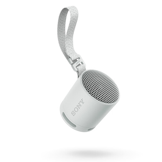 Sony (SONY) SRS-XB100 Haut-parleur Bluetooth Mini caisson de basses portable 16 heures d'autonomie Haut-parleur extérieur étanche et anti-poussière Gris Cadeau