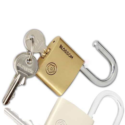 Plum blossom (BLOSSOM) copper padlock, waterproof and rust-proof office dormitory copper lock, outdoor warehouse door and carriage door lock BC9050