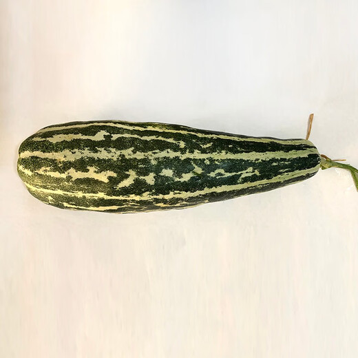 Zhongke Maohua vegetable and fruit seeds Bomei No. 9 melon seeds Huayang Boyang series Bomei 91 melon seeds 94 super sweet Bomei 94 melon seeds 2000 capsules