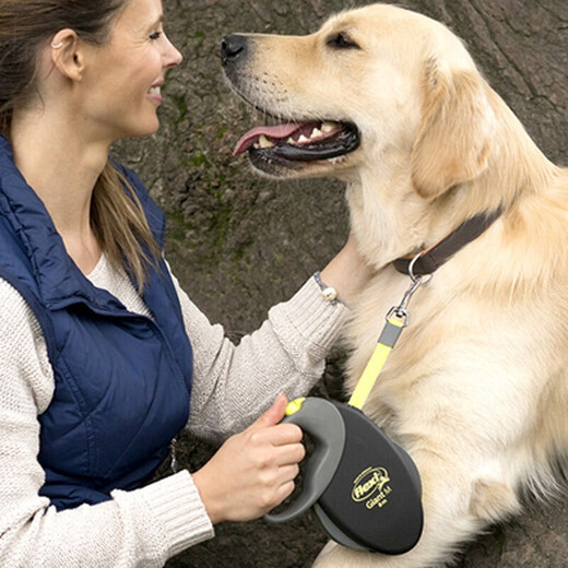 FLEXI giant series dog leash automatic retractable chain belt dog leash L8 m black/fluorescent yellow