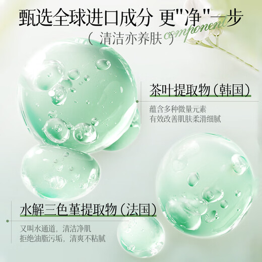 Vsve Vesuvius Scrub Ganoderma Lucidum Smooth Scrub Shower Cream Exfoliating Foam