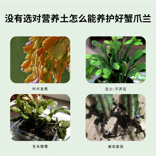Devodo crab claw orchid special nutrient soil 15L gardening green plant potted flower soil organic flower organic planting flower fertilizer soil