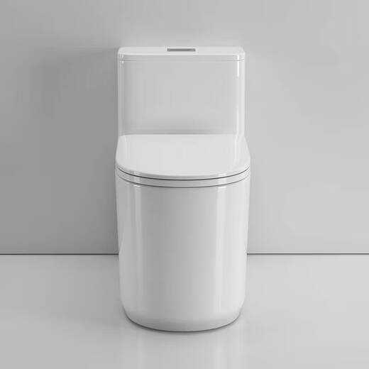 Hangzhou Jing Badezimmer Toilettengeruchssicherer und gegen blockierendes großes Gewalt einteiliger Toilettenhaustoilette 6172 Grube Entfernung 300/400 mm, Bestellung Hinweis