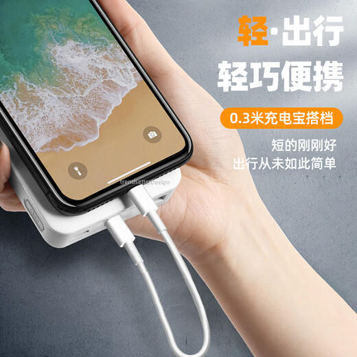 Trendsetter dual type-c data cable short-line power bank line PD fast charging charging line 65W suitable for Xiaomi Samsung Lenovo Huawei mobile phone tablet data transmission mutual charging line pair charging line