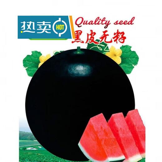 Super sweet seedless watermelon seeds, black skin, stable production, thin skin, red heart, extra large watermelon seeds, vegetable and fruit seeds for all seasons, black skin, seedless watermelon seeds, original, about 42 pieces