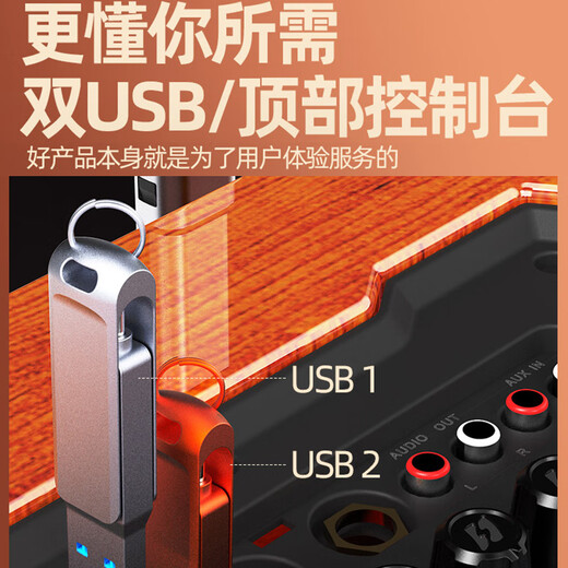 SANSUI (SANSUI) E08E12E15 outdoor trolley mobile karaoke square dance singing trolley speaker wireless Bluetooth indoor and outdoor high-power performance performance expansion activity sound G08 solid wood box + Bel Canto microphone