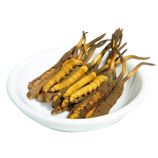 北京同仁堂【双十一活动入口】冬虫夏草虫草干货冬虫草夏虫草高 虫草10根