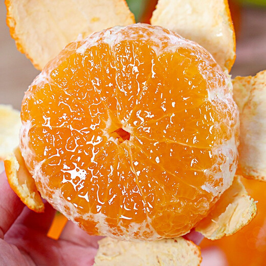 CAITI Sichuan Ehime No. 38 Jelly Orange Orange Big Fruit Fresh Fruit Honey Orange Hand Peeled Orange Sweet Orange 10 Jin Jin equals 0.5 kg Full box 5 Jin Jin equals 0.5 kg Selected large fruit gift box