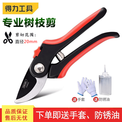 得力（deli）省力果树剪刀修枝剪枝剪园艺剪刀粗枝花卉园林工具修剪树枝剪刀 8英寸修枝剪 DL580221