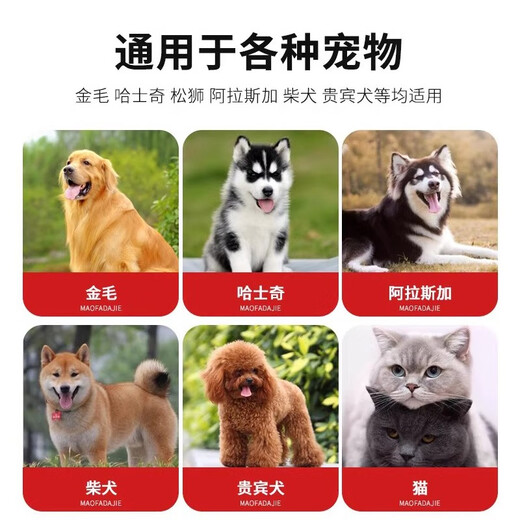 Dog washing pool stainless steel pet shop beauty special cleaning pet bathing pool cat and dog universal dog washing basin standard version 100*60*90 deep 40cm