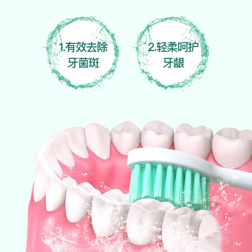 Lion Guard is suitable for Philips electric toothbrush heads HX2 series HX2431HX2471HX2421HX2461HX2451, etc. 4 pieces HX2424