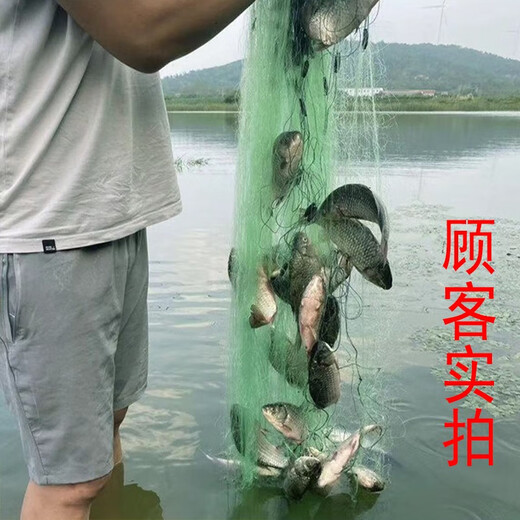 Yuxige sticky fish net fish net three-layer fishing net green silk sunken net fishing net hanging net to catch fish wire mesh sticky fish net crucian carp fish net 1.5 meters high 3 fingers 50 meters long three-layer sunken net lead pendant style