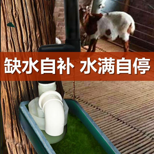 旭杉斯新款鸡鸭鹅家禽自动饮水器喂水器鸭子喝水饮水槽牛羊养殖设备用品 第三代一寸(32mm)侧进水