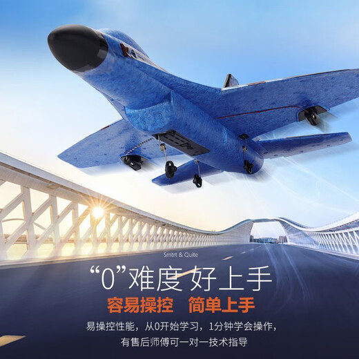 Dwi fly 200 meters high remote control airplane children's fixed-wing electric aircraft fighter foam boy toy 2.5 channels - can fly 200 meters high blue four batteries battery life 2 hours + multi-charger