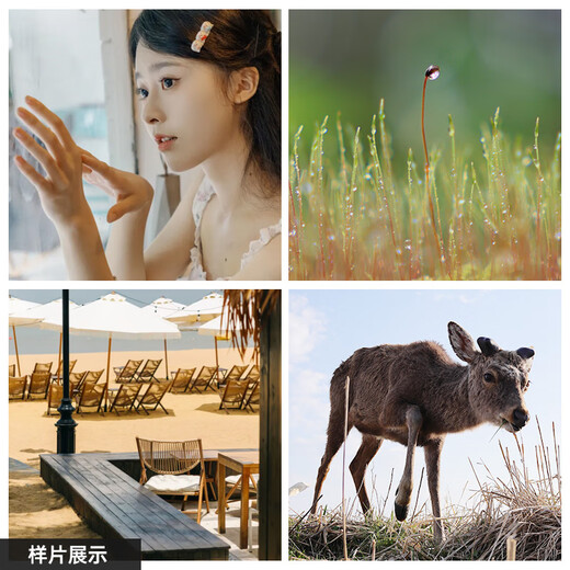 SIGMA 18-50mm F2.8 DC DN Contemporary half-frame mirrorless 1850 standard zoom lens portrait travel live broadcast (Canon RF mount)